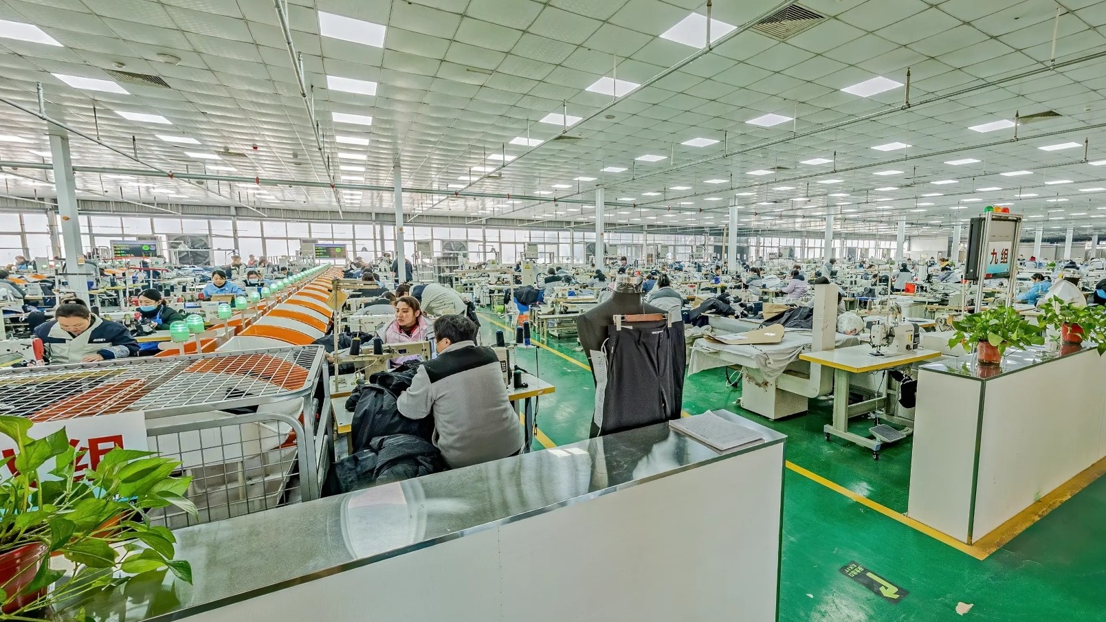 Jining Aisee Garment Co. Ltd.