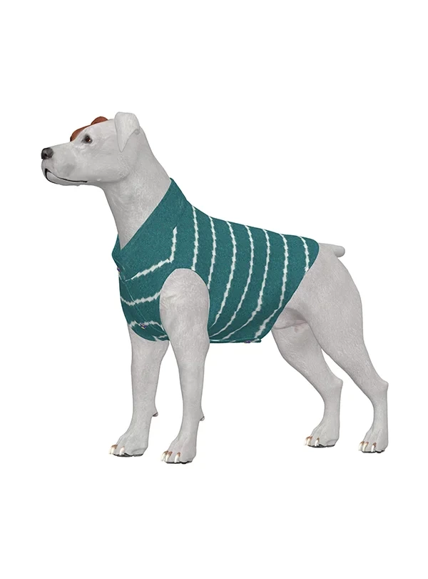 Dog Clothing